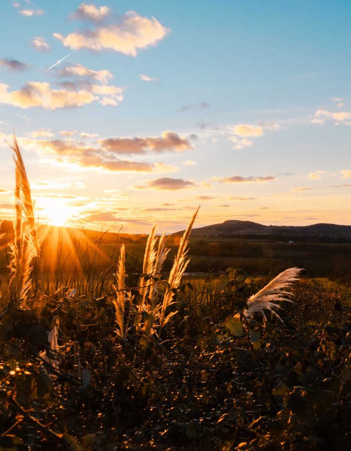 Tapnell Farm January Sunsets 16