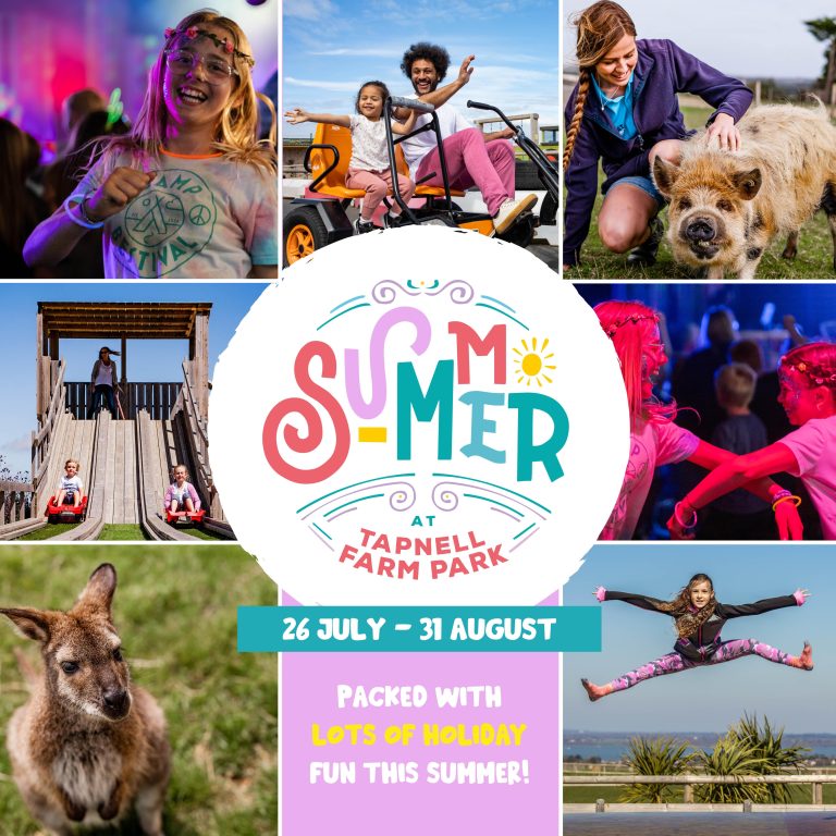 Summer in the Farm Park Square